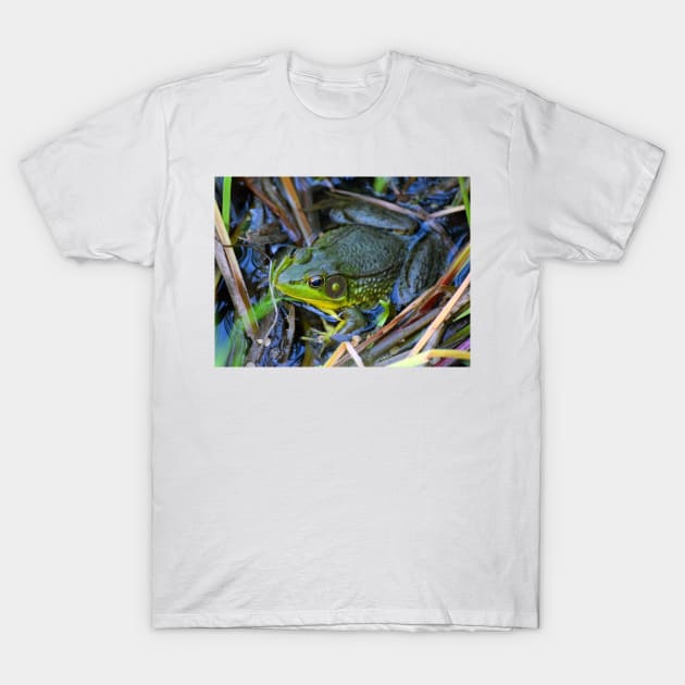 Billy Bullfrog T-Shirt by Colette22